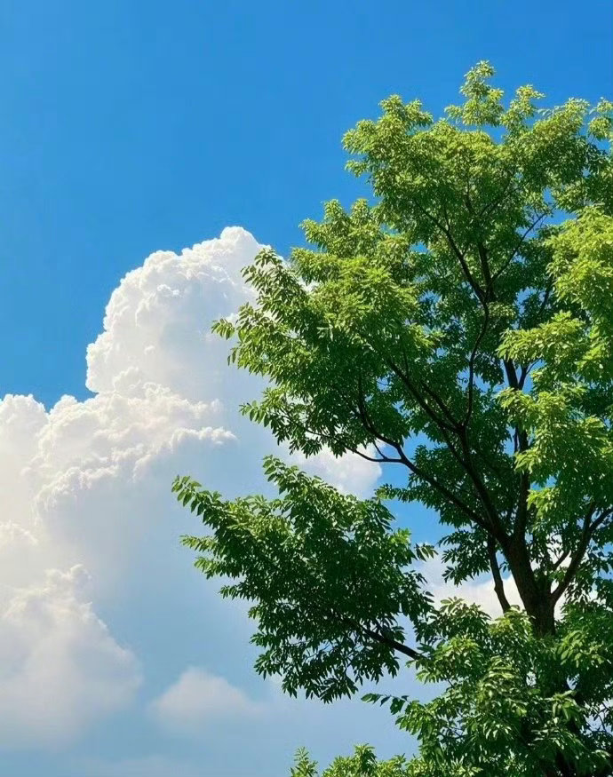 老祖宗传下来的28条观人术，想摆脱困境，这个是一定要知道的！1. 急于求成的人，