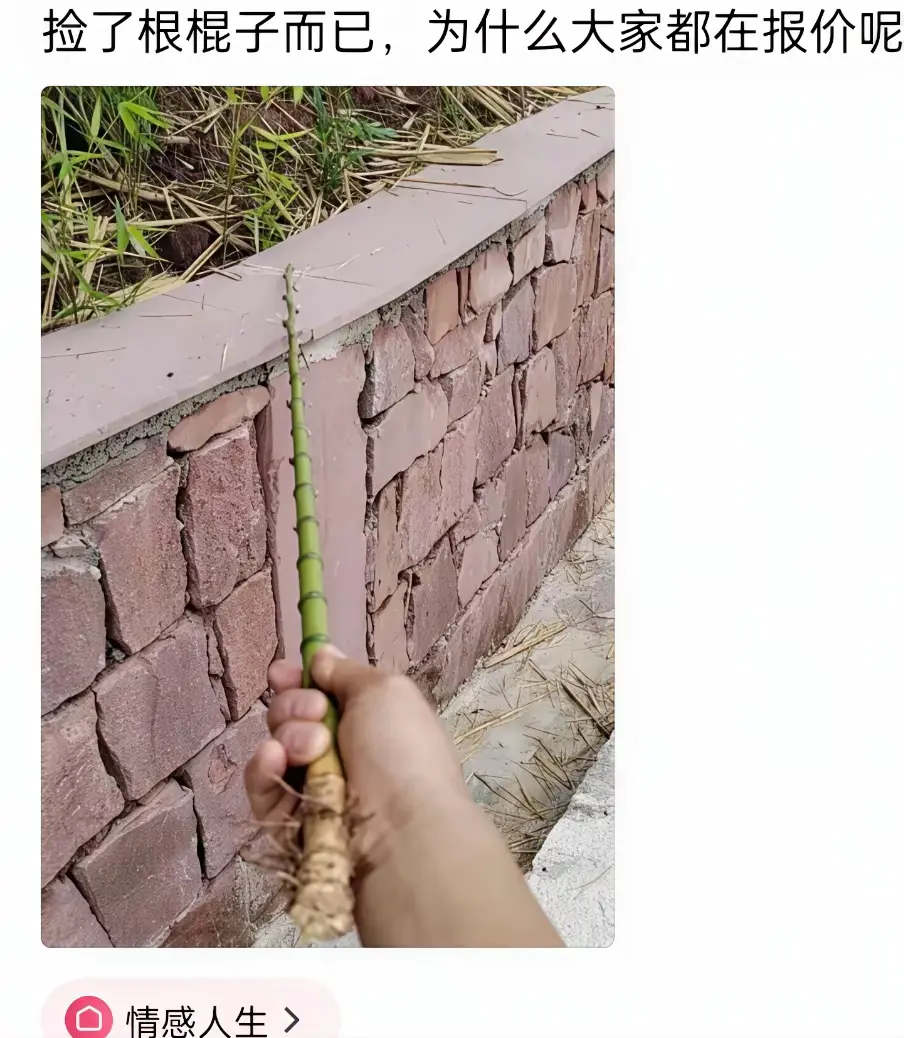 只是一个棍子而已，为啥很多人都在报价
