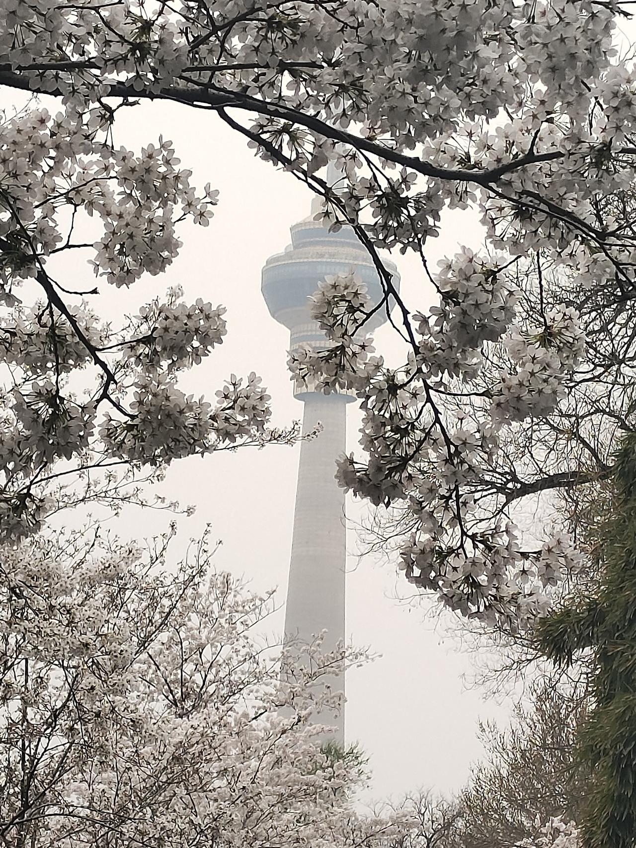 人到中年才懂：人生本是过客，何必万般执着人这一辈子，说到底就是一场路过。没