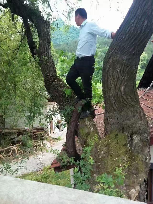 儿子大学毕业几个月了，找工作一直不是十分顺利，上周终于找到一份比较满意的工作，可