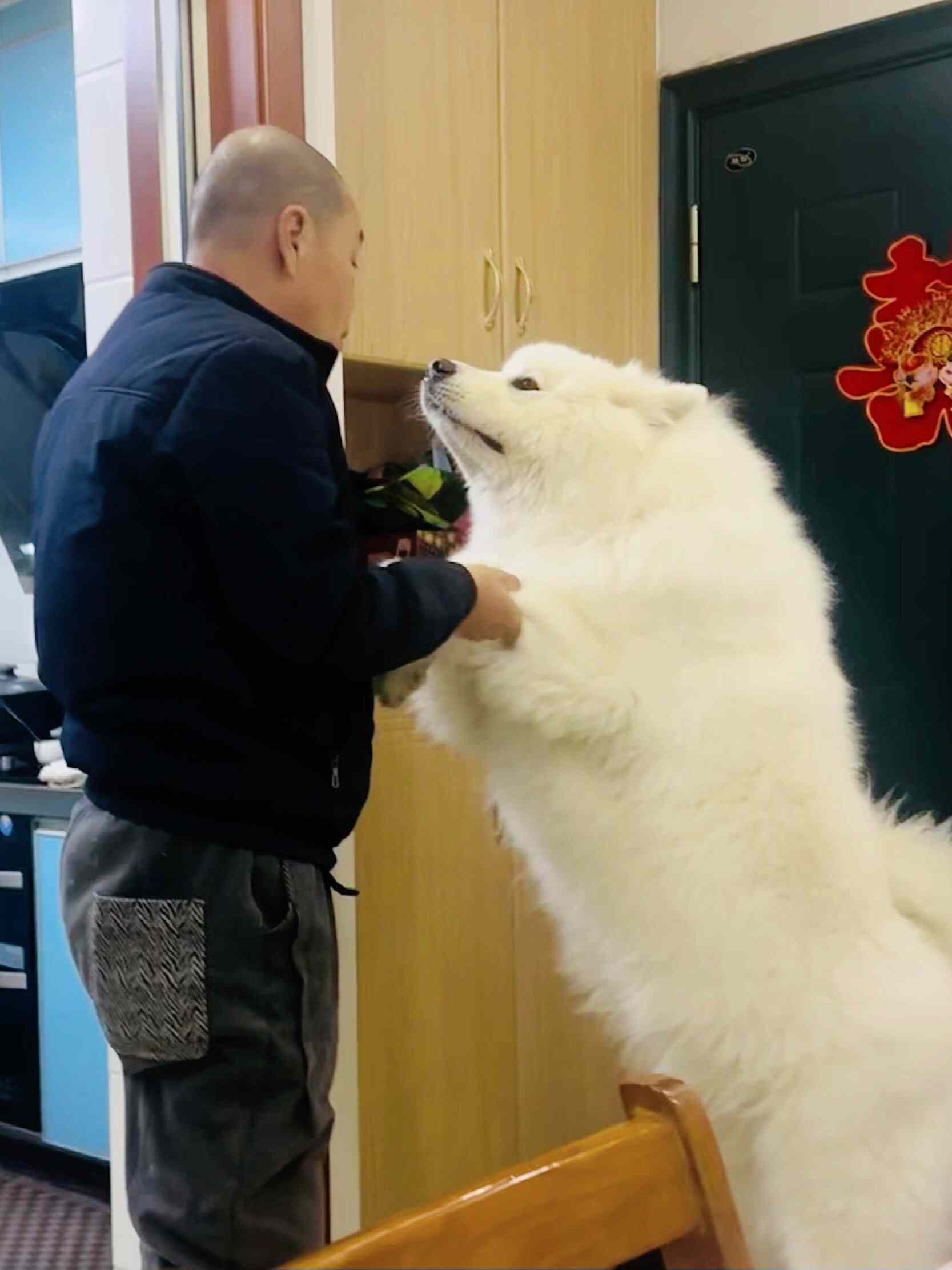 大耶给大爷拜年了，大爷：哎呦，这大外孙可真大耶！