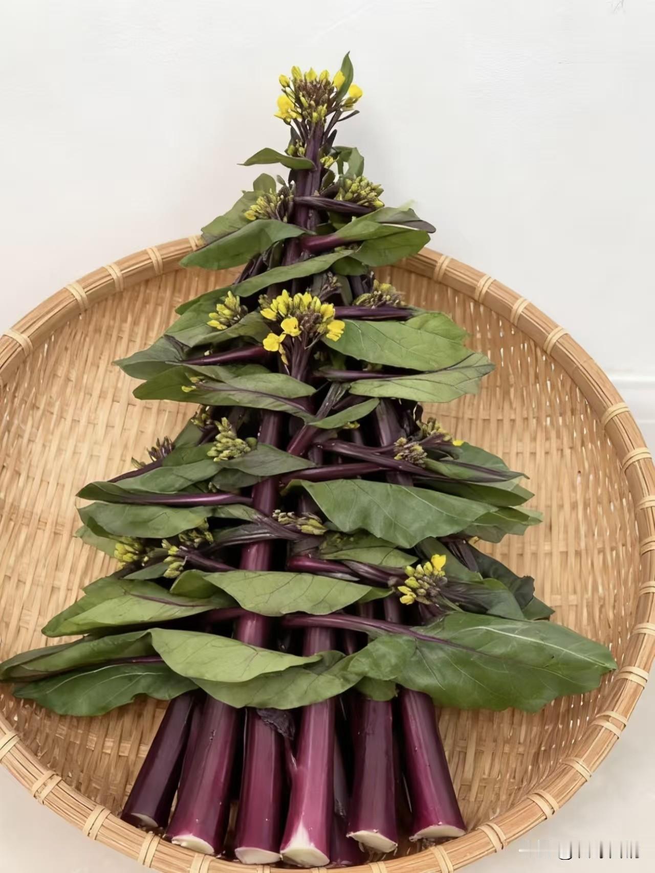 科普一下武汉红菜苔。属于湖北人的圣诞树。武汉红菜薹，也叫洪山紫菜苔或红油菜