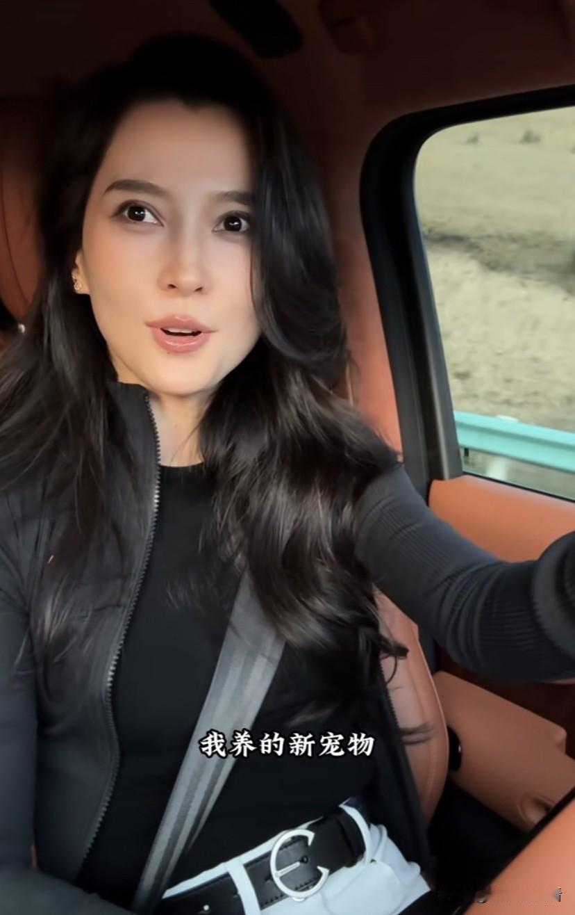 森林北养了新宠物，是一匹四岁的纯进口阿拉伯马，森林北还跟它同吃一块西瓜，看起来很