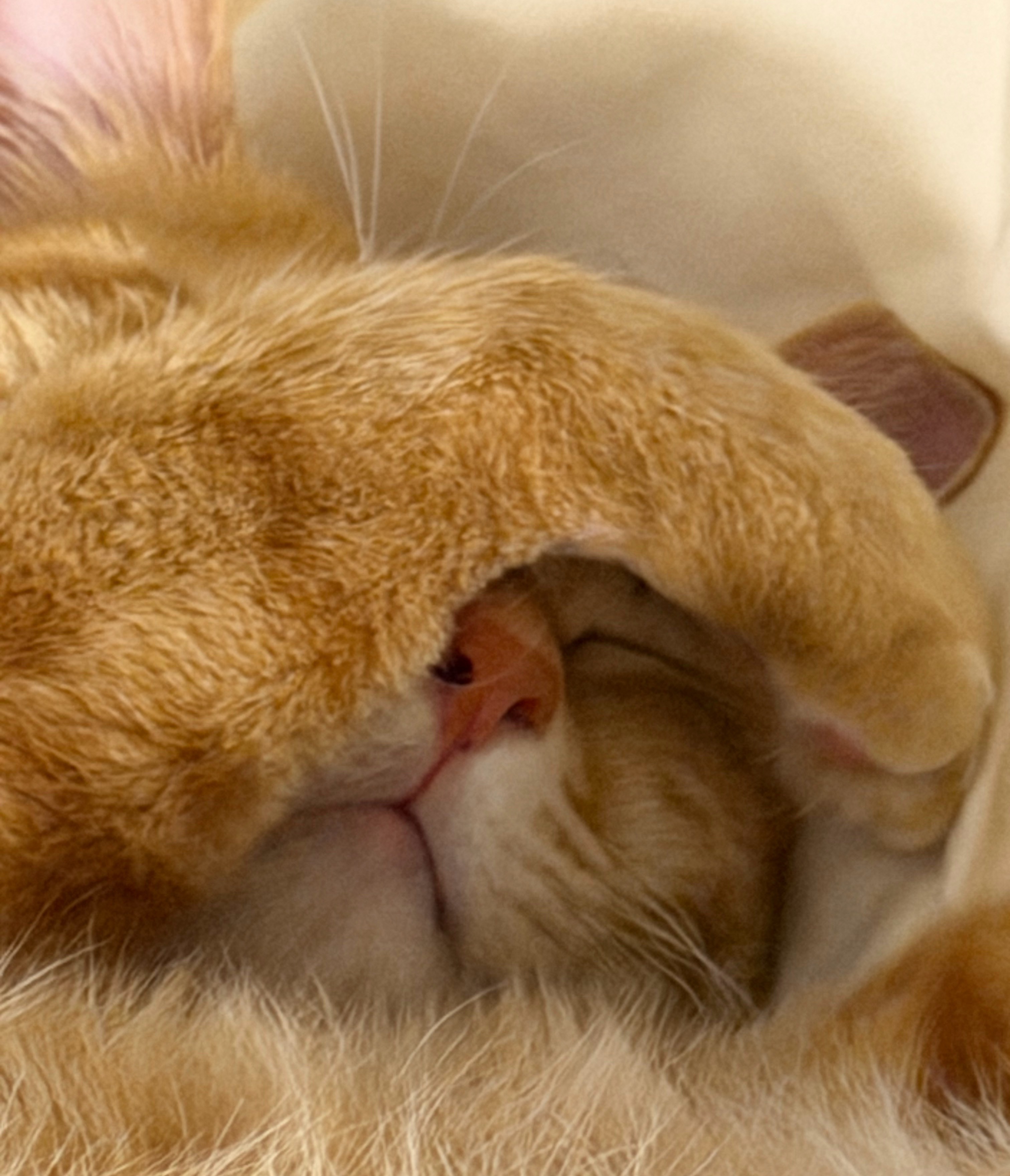 奉劝大家还是尽量多存钱确实，能多存点钱就多存点钱吧。别总觉得钱是赚出来的不是省出