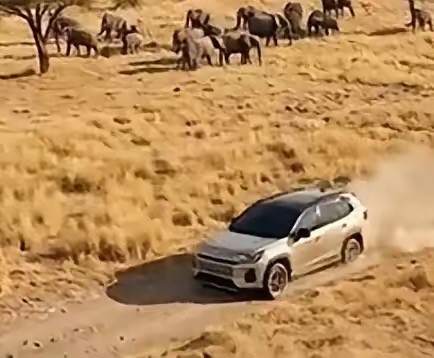 2026年春节刚过，车市就掀了降价潮。奔驰E260L经典版降了11万，宝马5