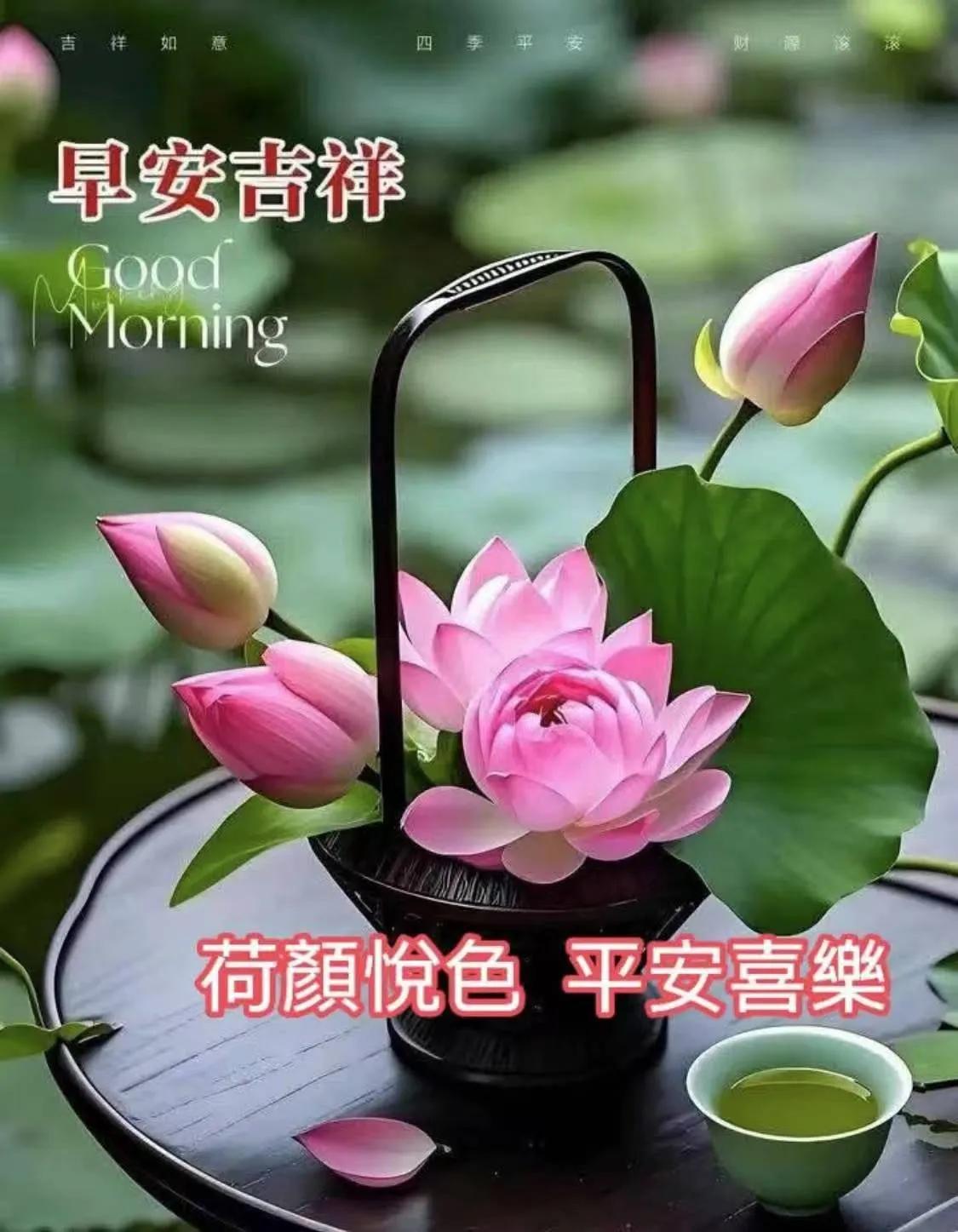 用感恩的心去問候，用真誠的心去珍惜，送給你滿滿的祝福，吉祥平安健康快樂。