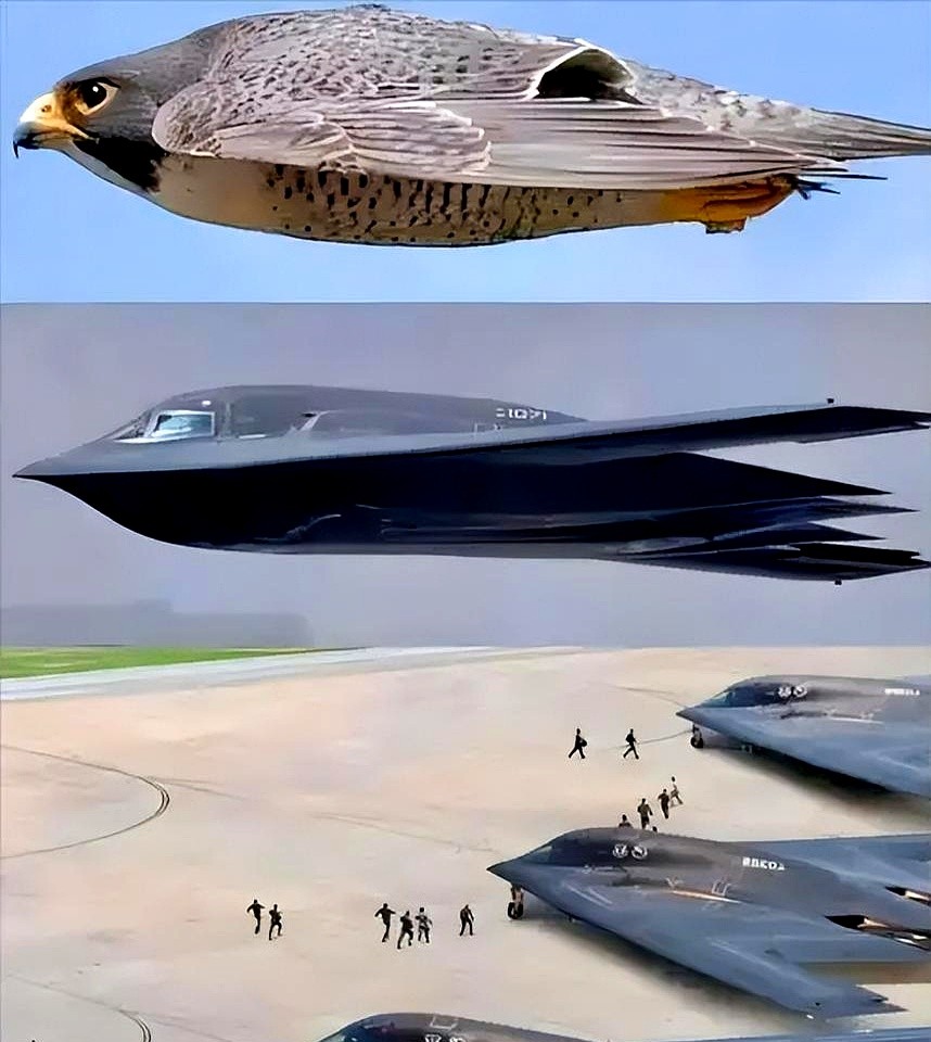 B-2幽灵轰炸机致命软肋曝光：飞一趟烧掉加州一套房，全球竟无地可修！