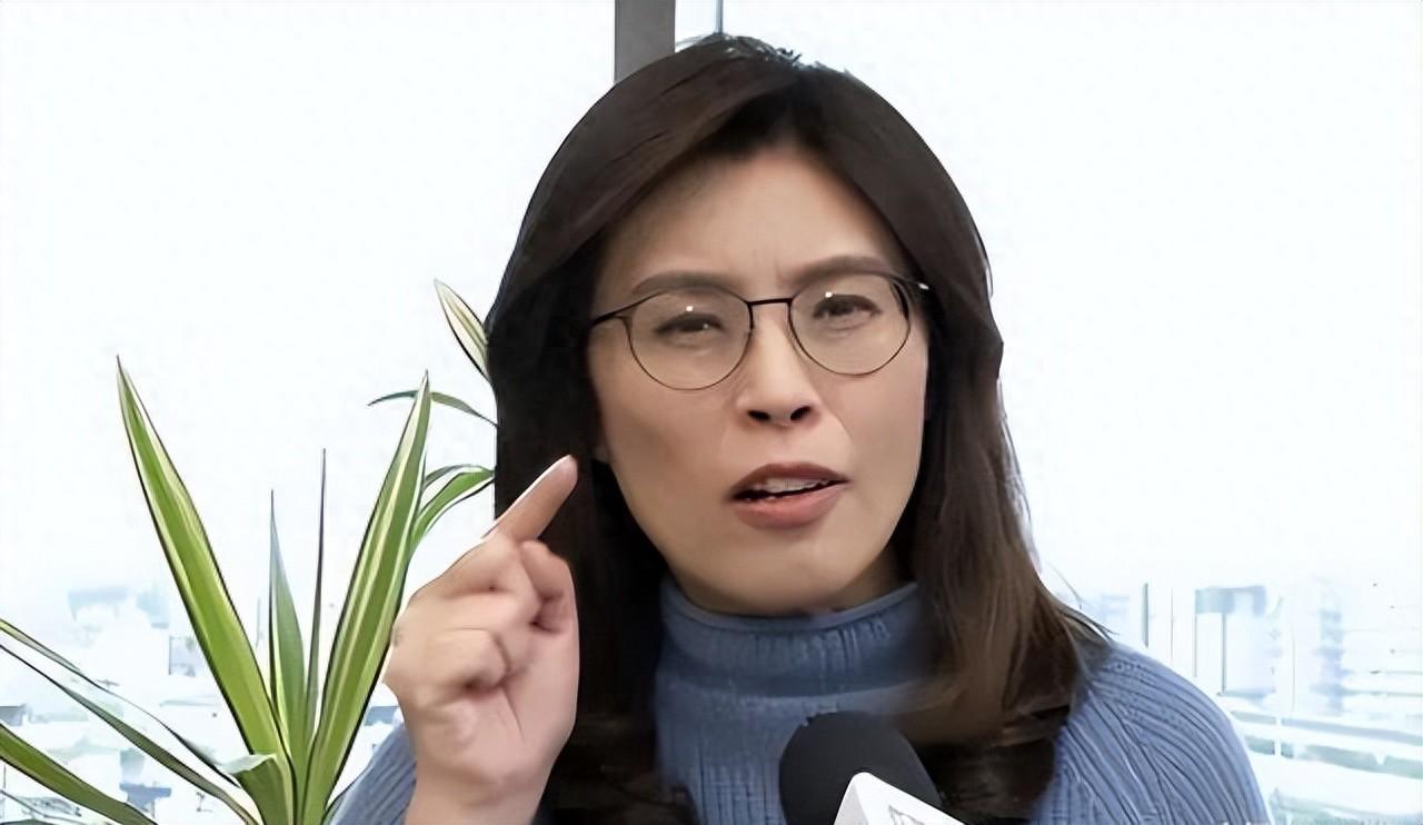 人不可貌相啊！原来郑丽文才是最“独”的！这次把阴谋放到了大陆身上！近期郑