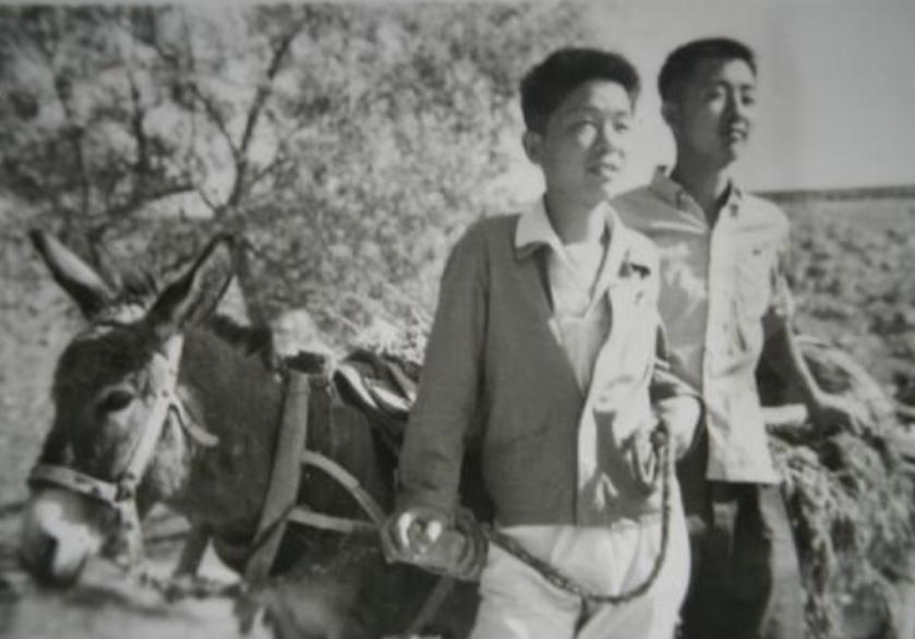 1970年，17岁知青偷吃老乡2只鸭子，老乡大怒：“赔钱，20块钱一分都不能少！