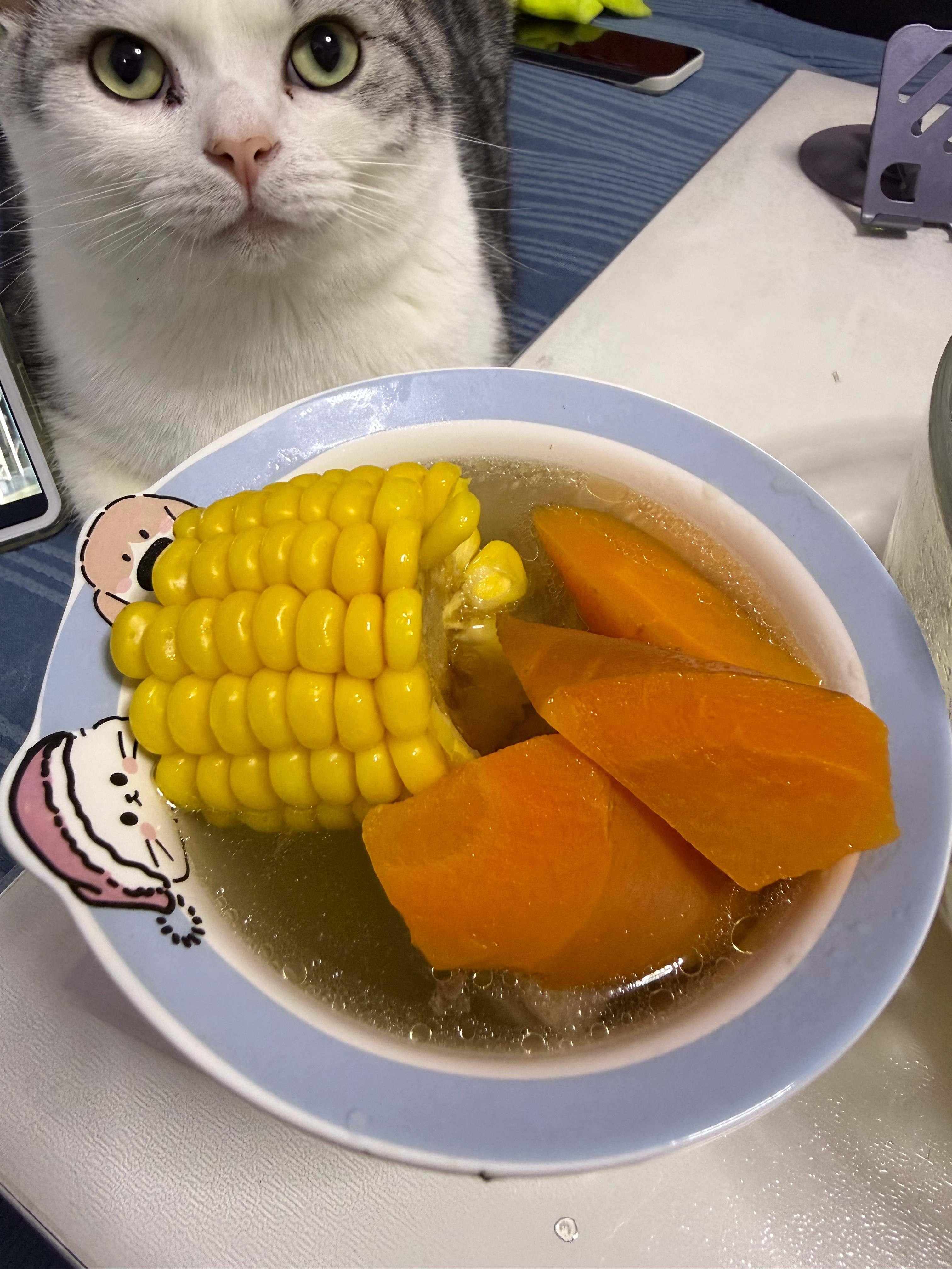 做饭日常