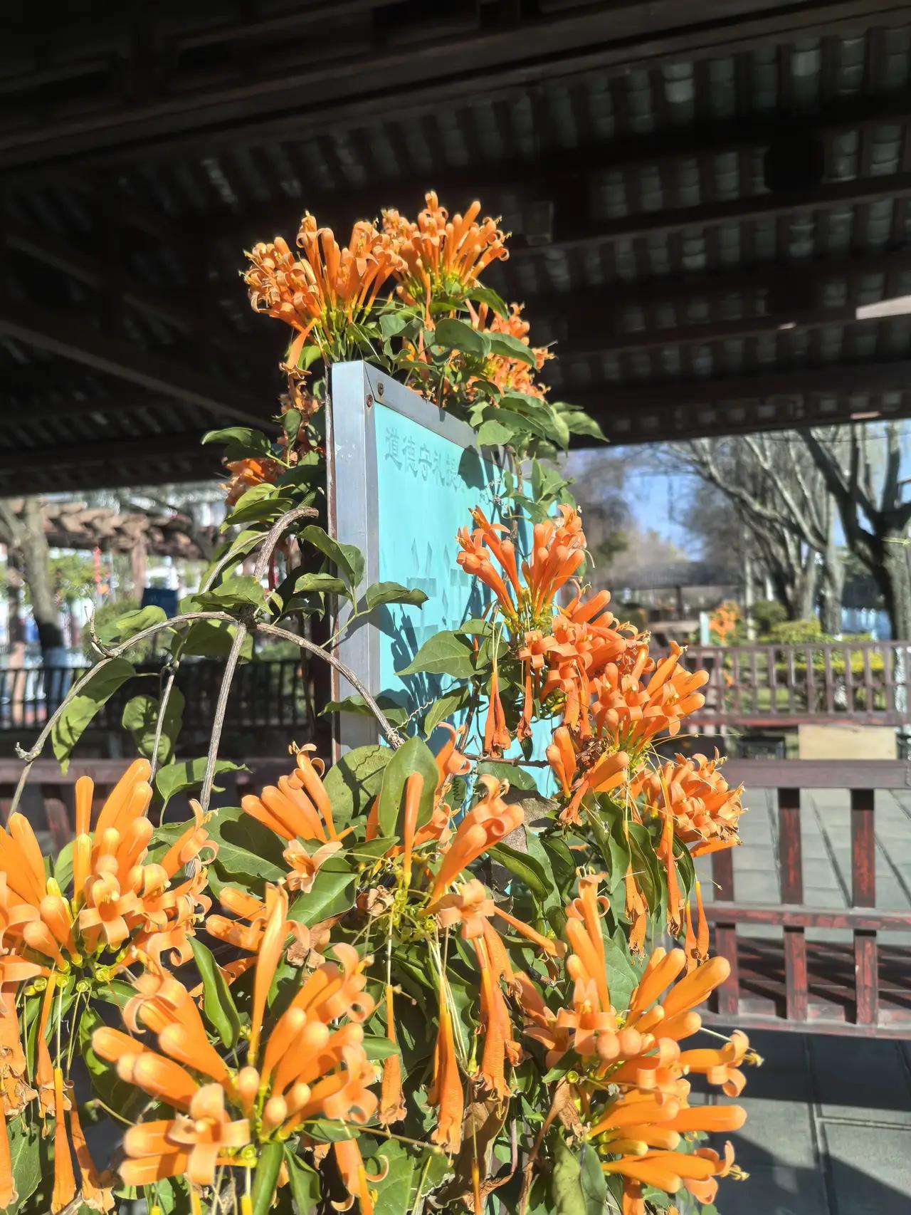 张文宏“硬刚”AI病历：一句“我拒绝”，撕开医疗数字化的遮羞布？1️⃣先把