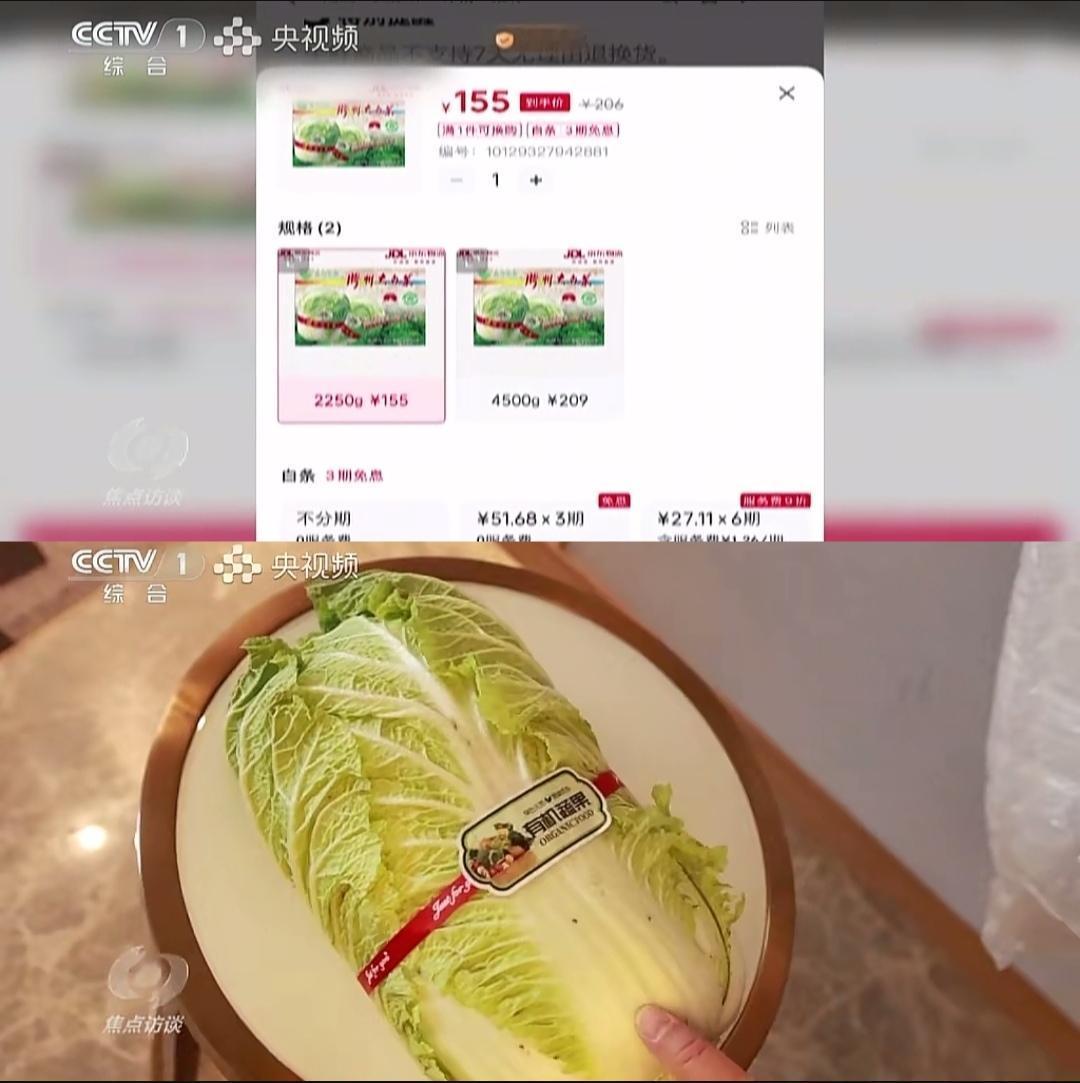 155元一颗的假冒胶州大白菜上焦点访谈了！山东网友表示作为一个土生土长的胶州人，