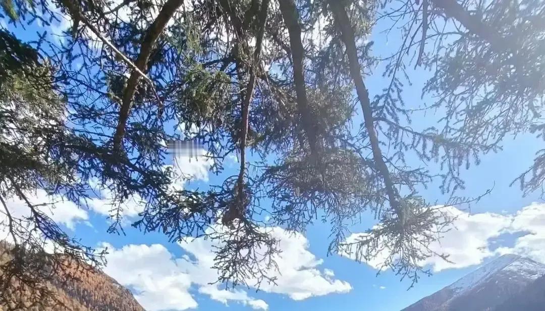 我鼓起勇气跟老板说以后工资和报销都打我这两张卡，能省不少手续费。老板一脸懵，问