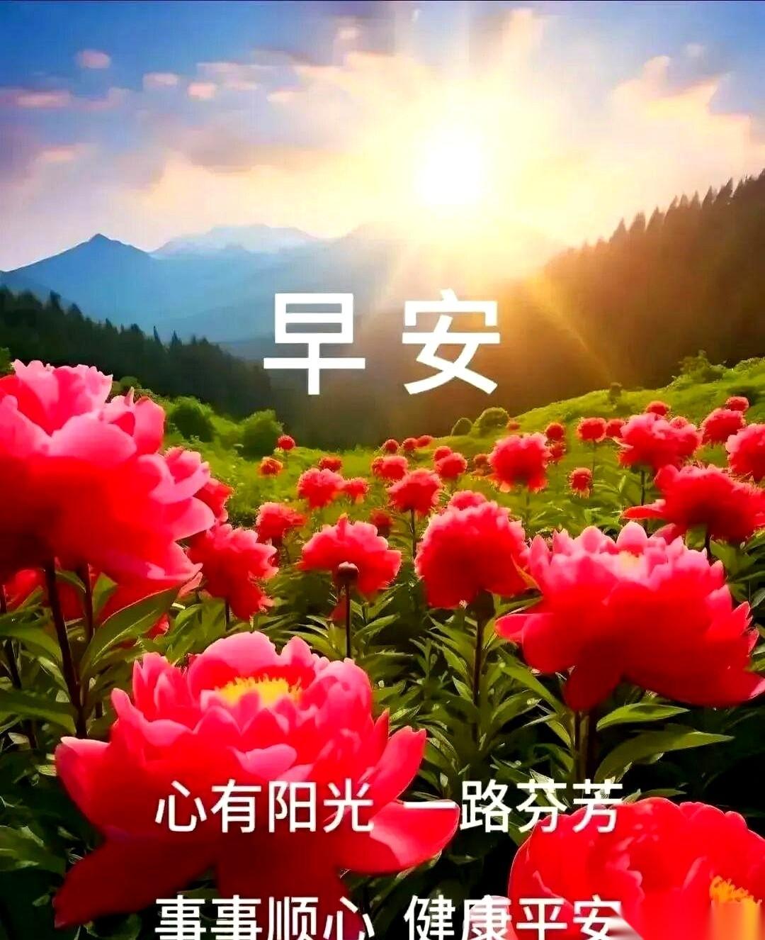 这天儿一凉，人就容易胡思乱想。手机翻来翻去，看到你的头像，突然就想跟你说几句。