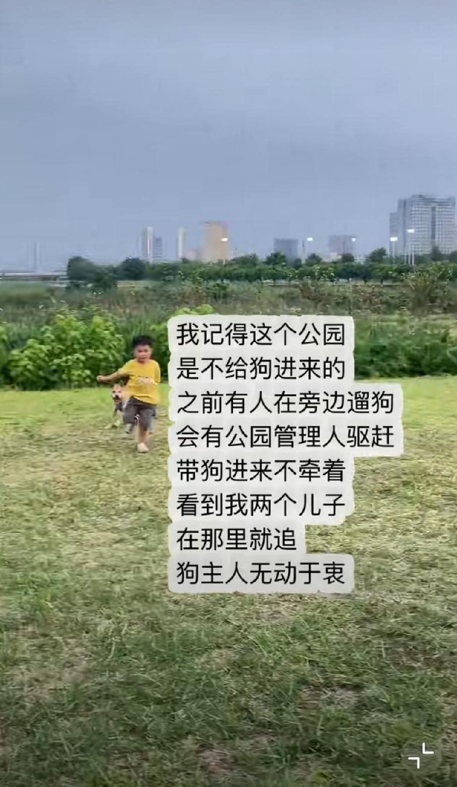 两个孩子被狗追吓哭，网友分享带娃逛公园遇到的糟心事。狗主人带狗进公园就算了，还不