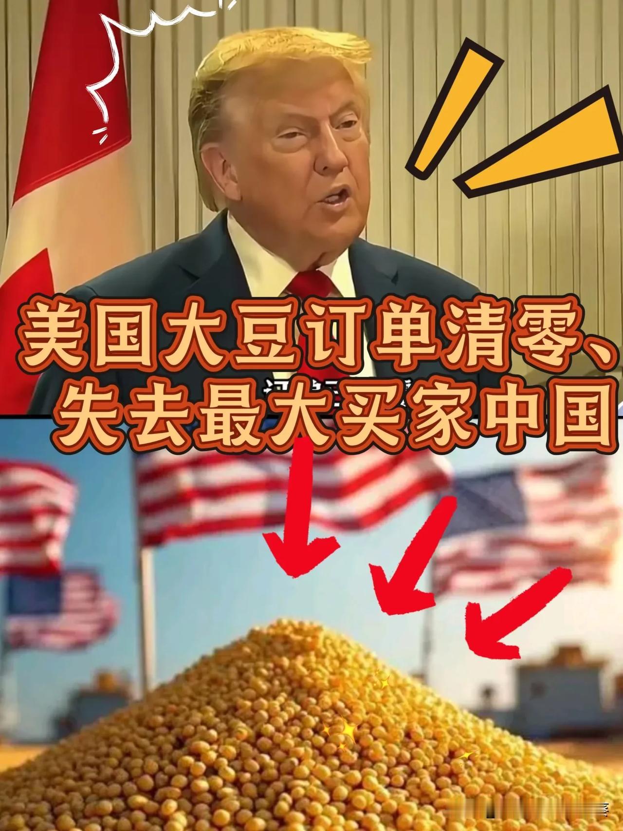 美国大豆订单清零、失去最大买家中国虽然收到中方800万吨订单但美发现
