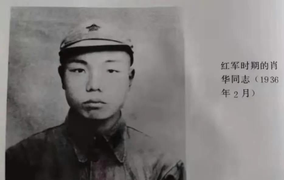 1938年，由于特务告密，鬼子包围了大常村。情急之下，常大娘把肖华司令藏进了枣堆