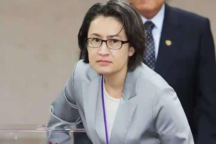 萧美琴访欧，来想借机造势搞文化独之，却被欧媒意外打脸！11月8日，香港《卫报