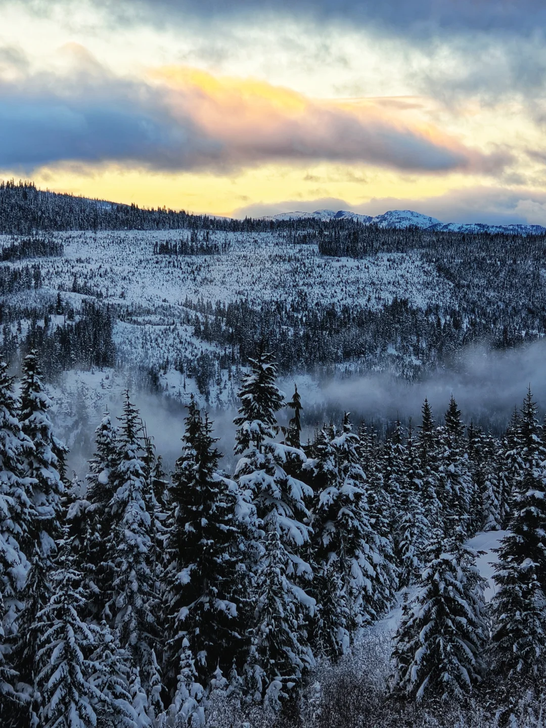 魔法森林的绝美落日