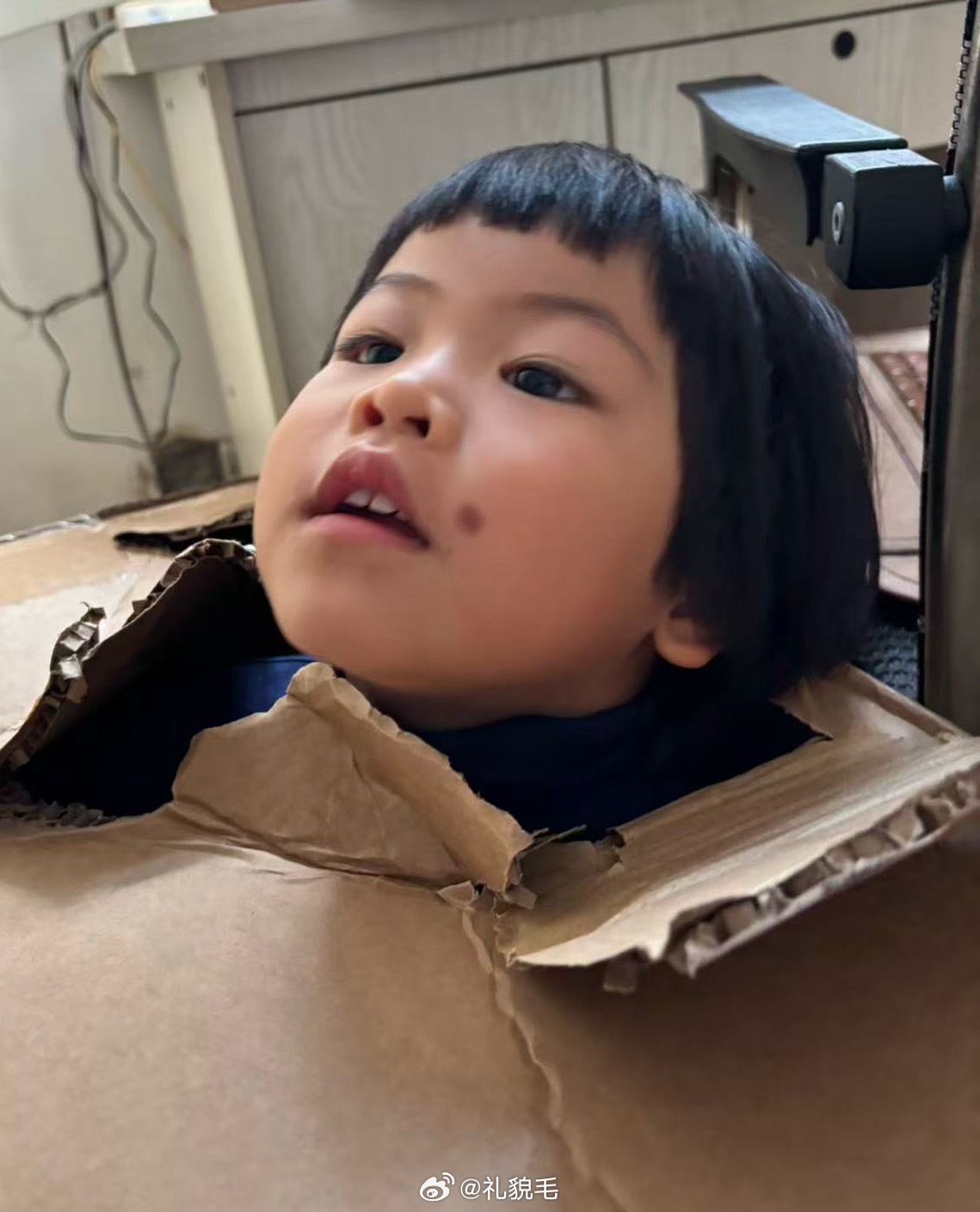 姑嘎嘎致力于给球拍摄各种各样的奇怪照片带娃随手拍