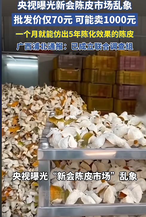 一位53岁的新会老雀教我怎么买正宗陈皮：在外省人看来，我们本地人都有一个奇怪