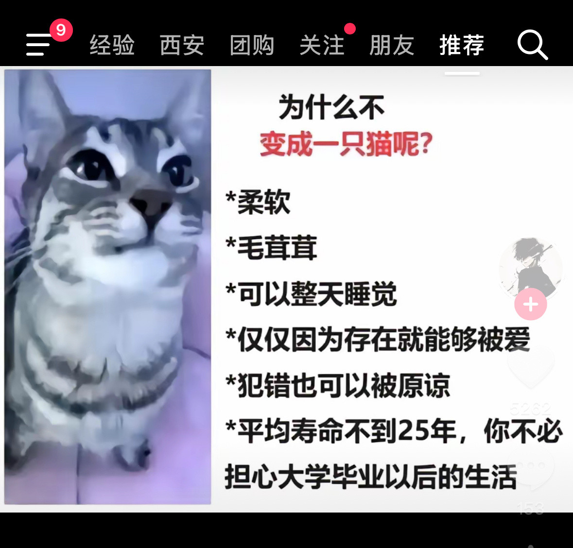 就算变成猫我也希望主人是富翁​​​