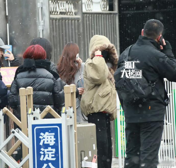 白鹿2026央视春晚联排白鹿现身春晚联排白鹿现身2026央视春晚联排，国民