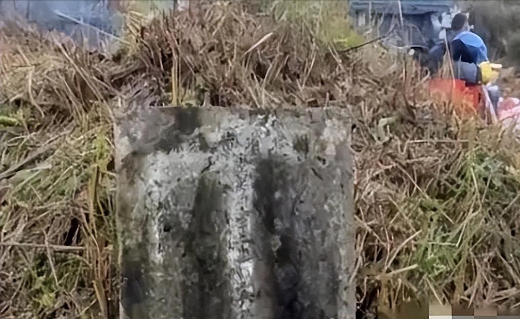 有些事儿，真的就是冥冥之中注定的。贵州一个大姐，扫墓的时候，顺手扒拉开一个野坟