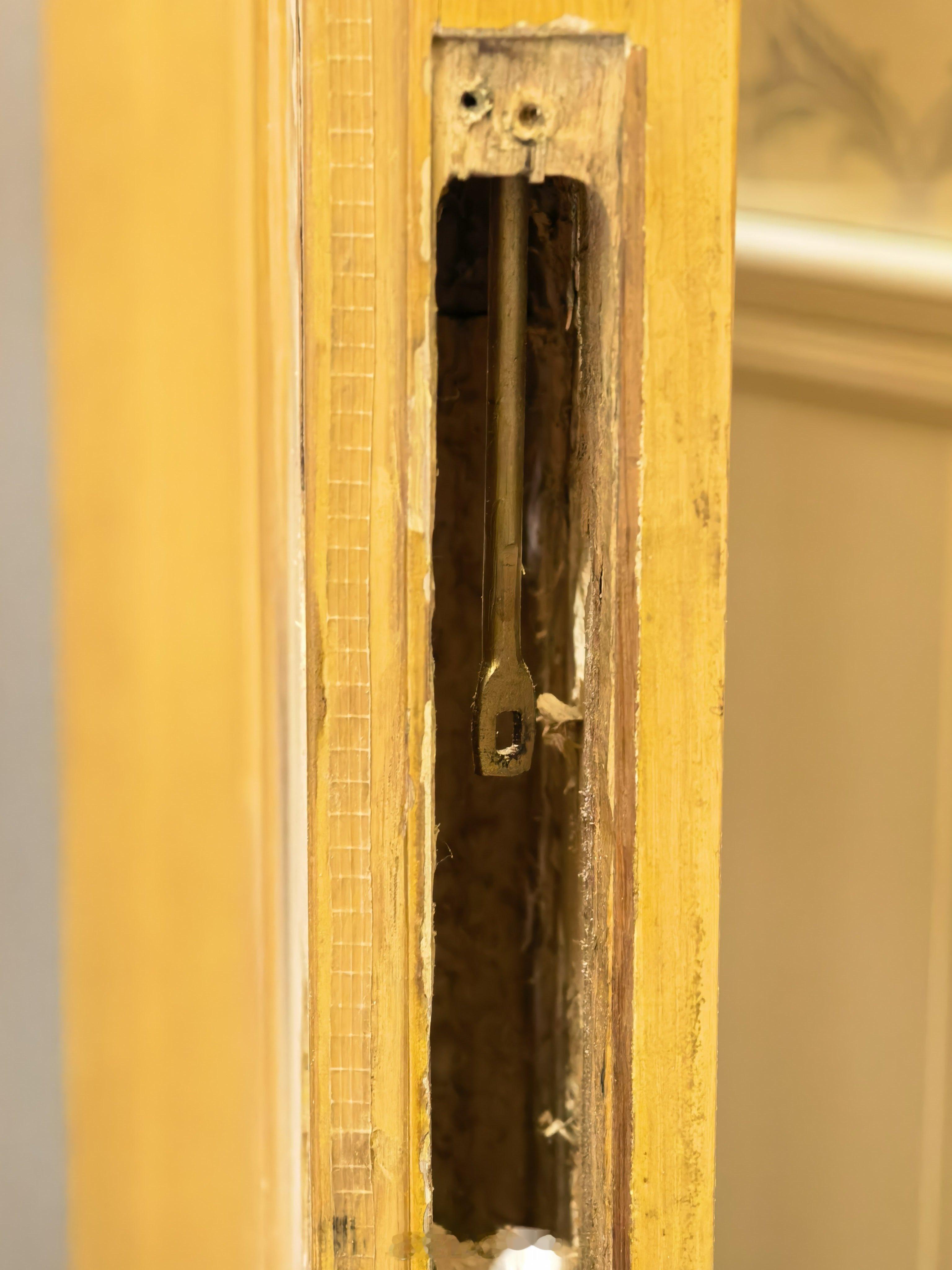 过年期间媳妇在线上找人上门喂猫，虽然每一次都是视频直播进家。但是得把指纹锁的密码