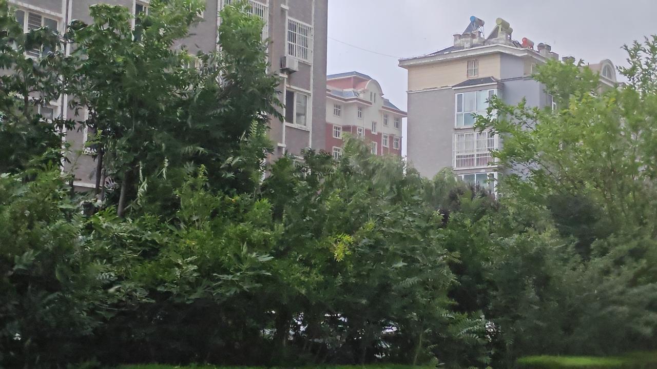 这次学会整顿，国家动真碰硬！学会乱象已经影响到国家正常运行秩序，到了不得不整