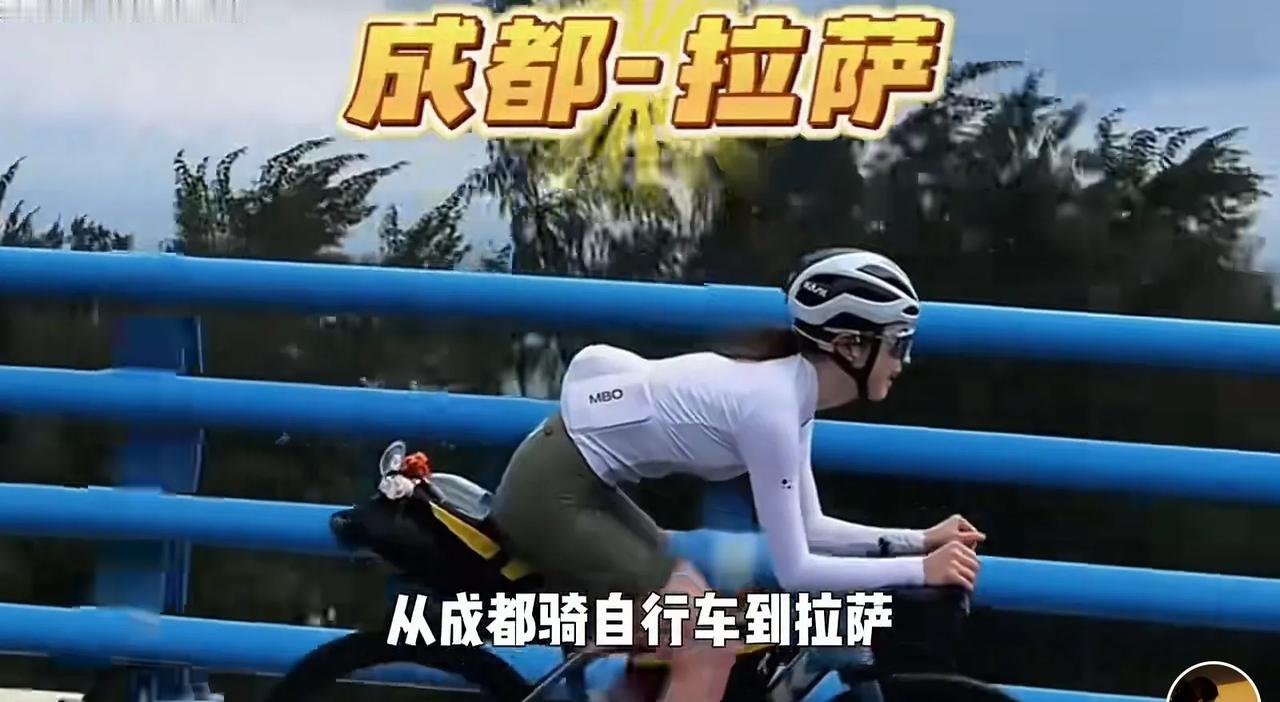 一点造假的技术含量都没有。