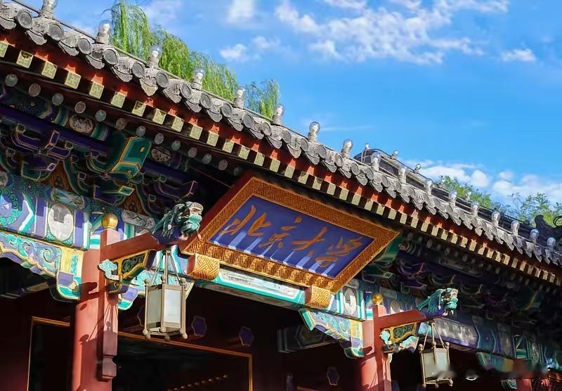 北大教授语出惊人：中国社科不如印孟，只因没走英语路🔥北京大学教授、中国人