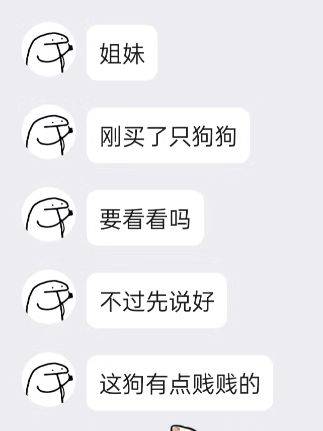 这狗怎么这样子呢