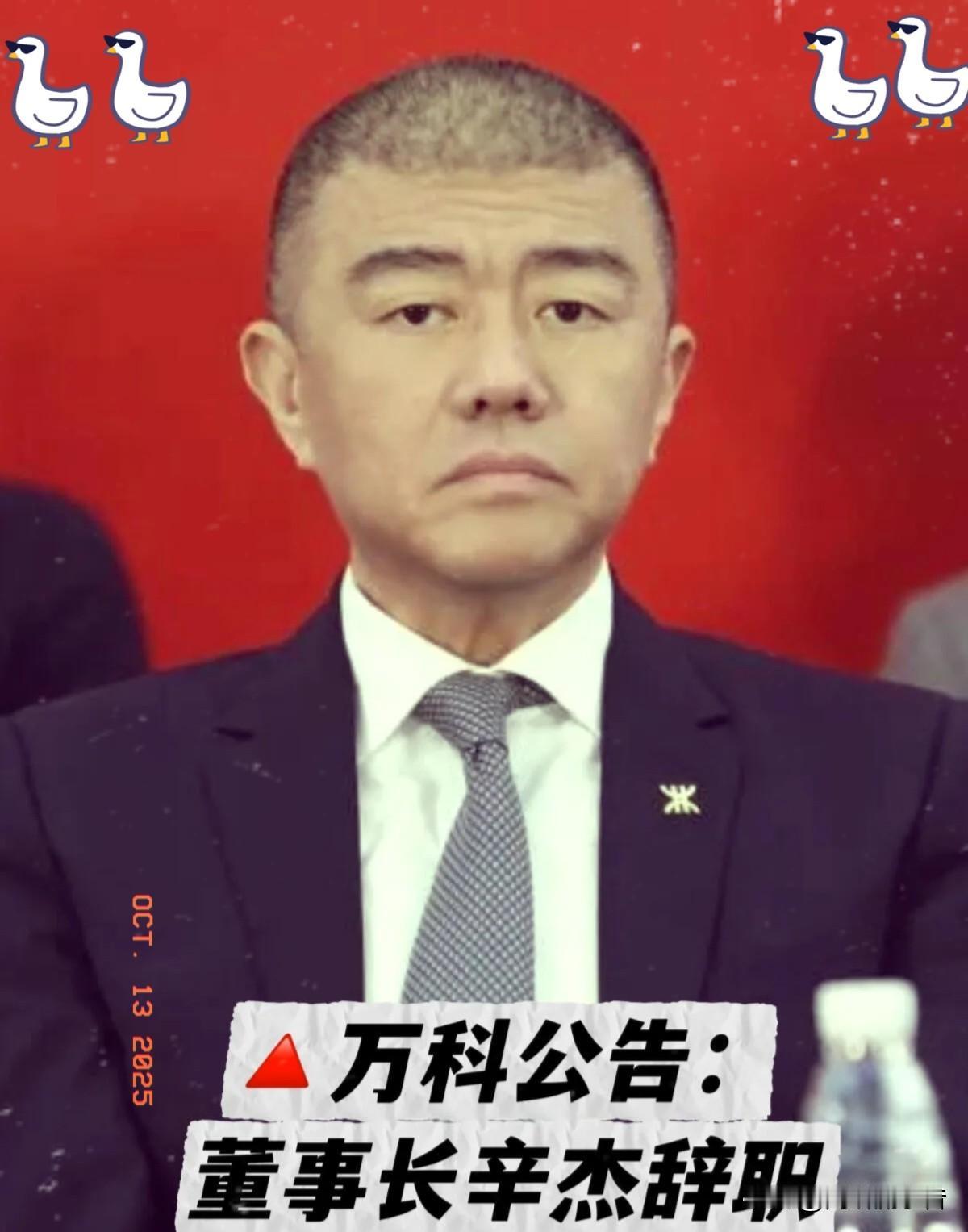  万科8700亿负债，我懂；董事长辛杰失联，我也能理解。可他失联24天，