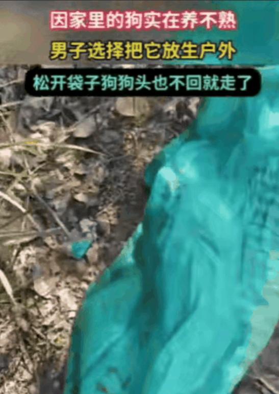 11月17日一男子家里养了一条狗，因实在养不熟，于是选择放生，他把狗装进麻袋，带