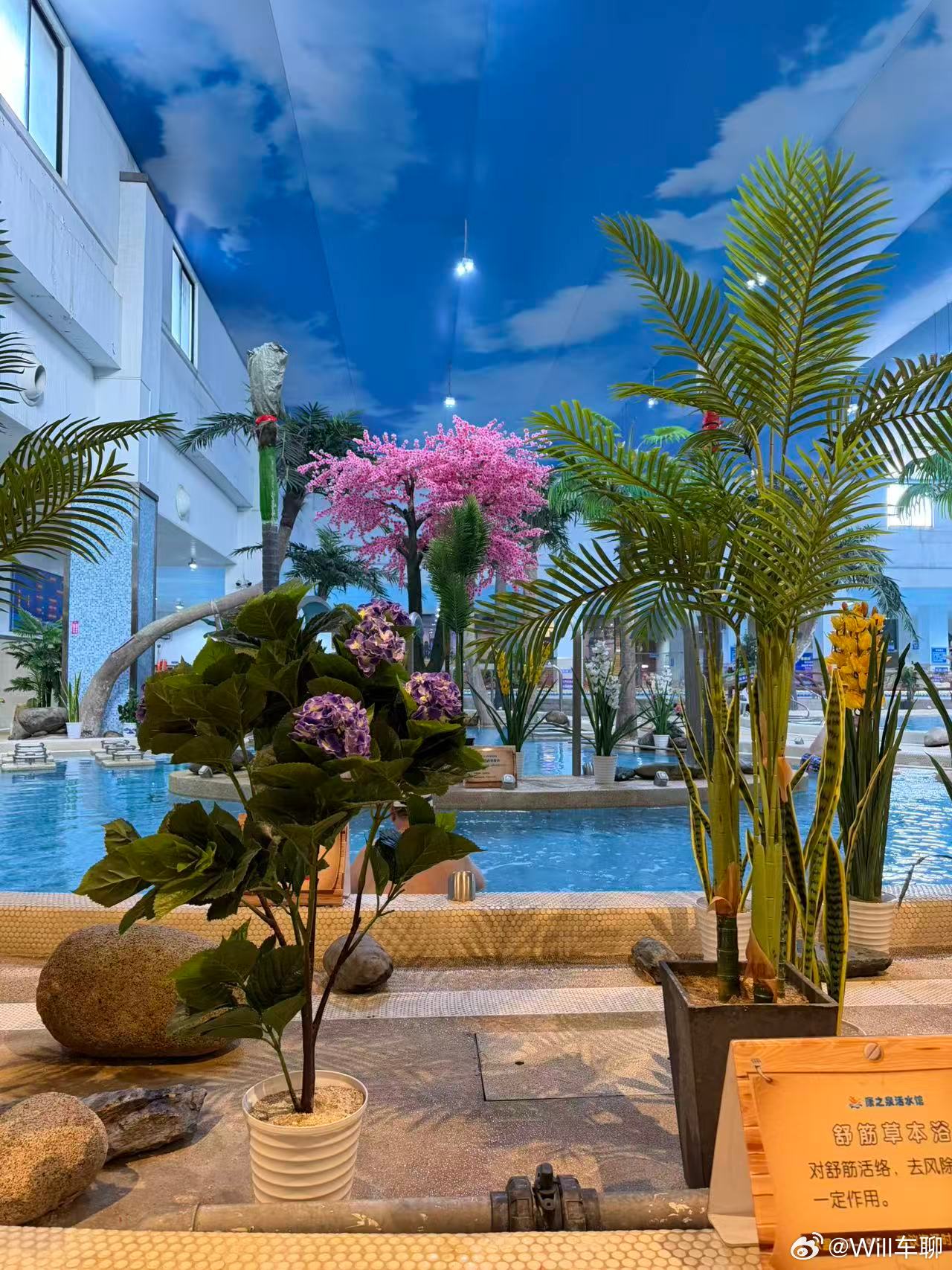 上午去游泳，在公共停车场停车。公共停车场有的地面没有地标线。在入口附近看到一个很