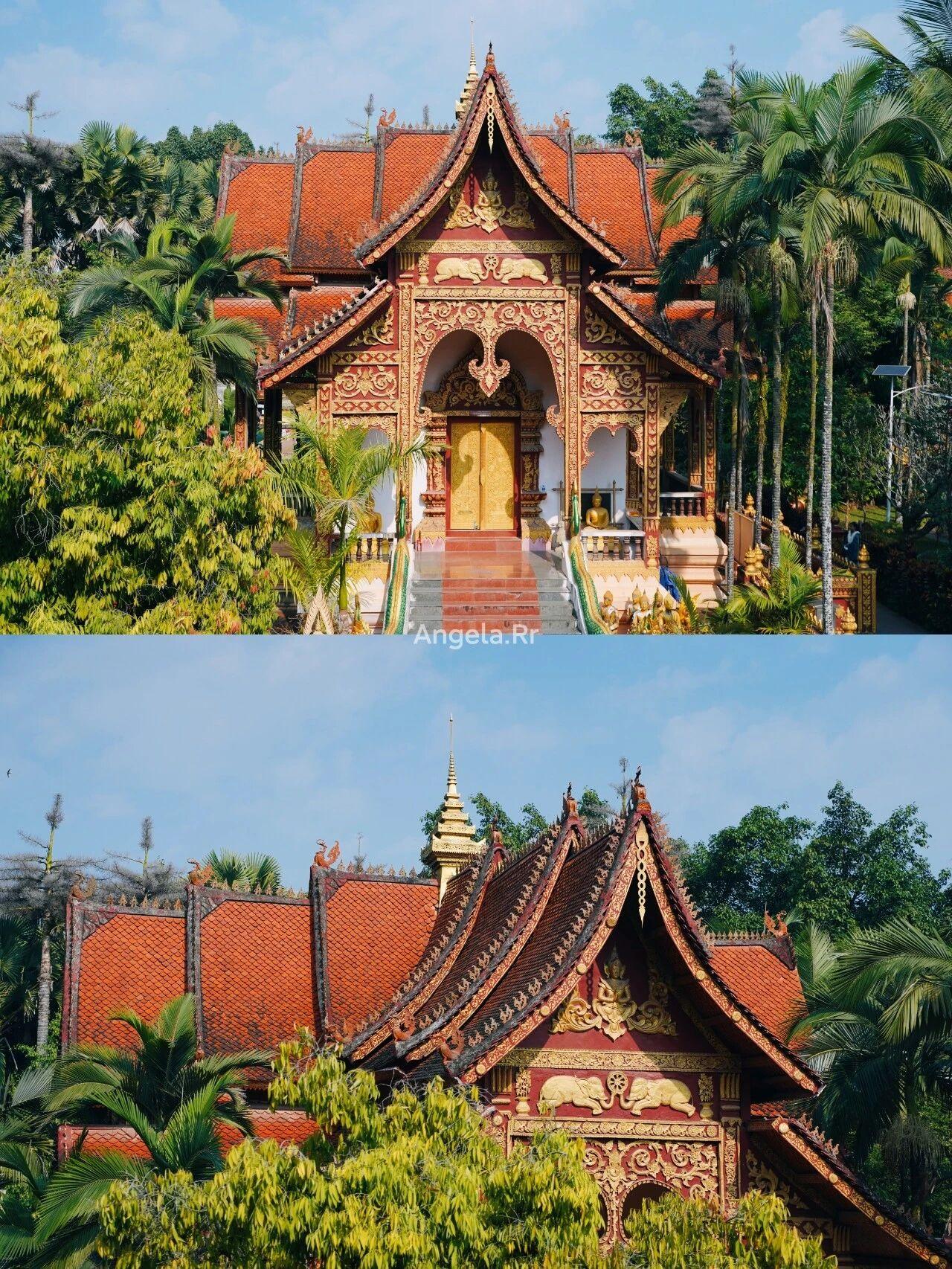 如果你问我，国内哪个城市最像东南亚？那一定是西双版纳！🌴这里没有冬天，只有