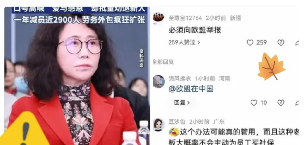 劳动局这下很尴尬！他们赌的是，应届生没力气闹到欧洲去。结果学生们直接跳过去，真把