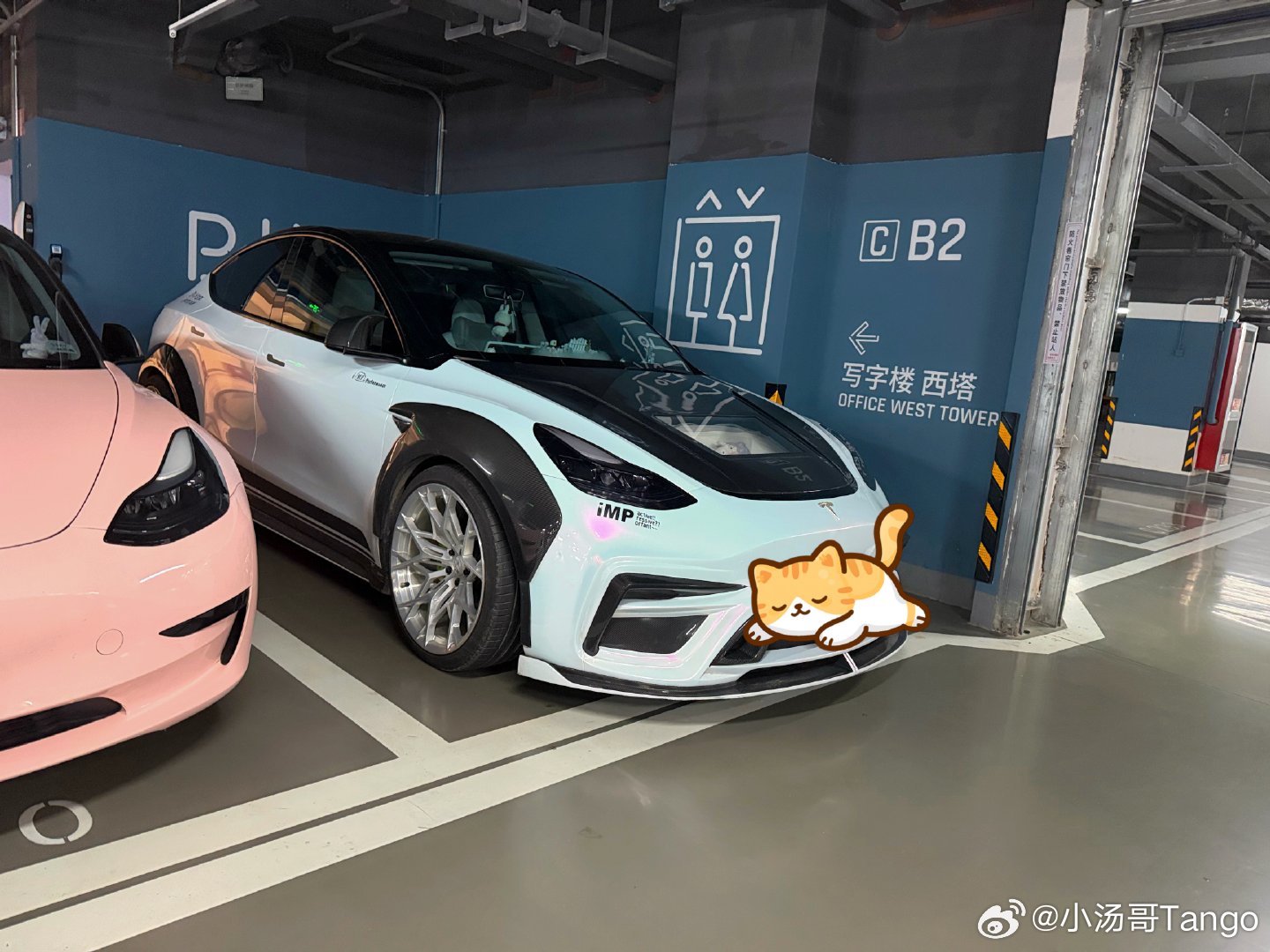 这是...特斯拉modely？！远处第一眼没看出来，以为是什么跑车[捂脸哭]这