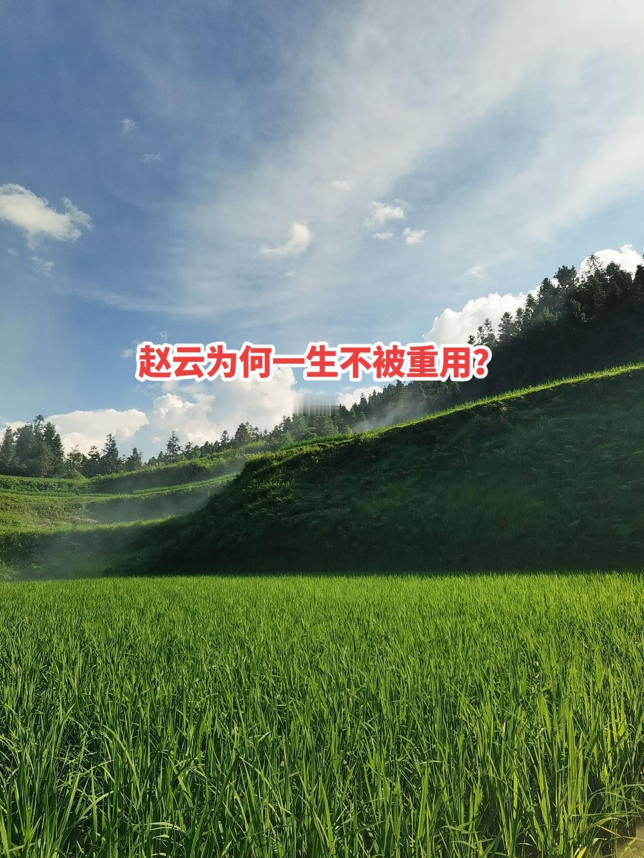 很多受演义小说影响的人，觉得赵云武艺高强，却一直不受刘备重用，官位比不上关羽、张