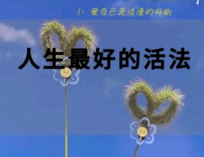 我发现，人这一辈子，拼到最后，是心态和自愈力。人生最好的活法，从来不是活给别人看