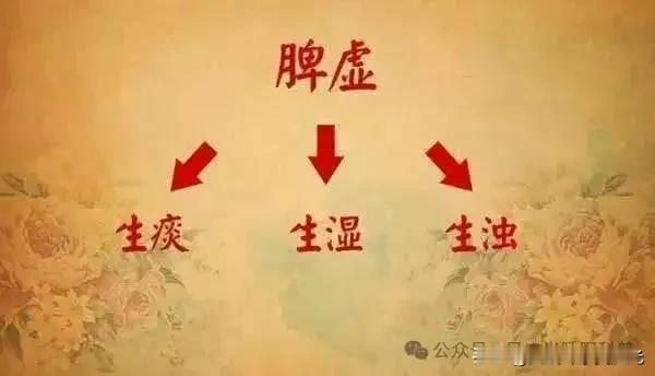 两味中药煮水，健脾，化痰，还能减肥！明明没吃多少，肚子却总是胀胀的；稍微吃点