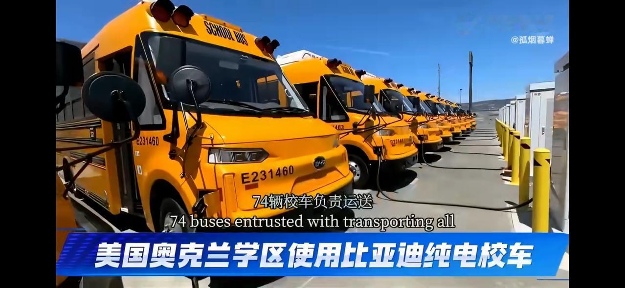 为什么美国学校非要采购比亚迪校车？因为加州他这个采购有一个特殊的要求，那就是要对