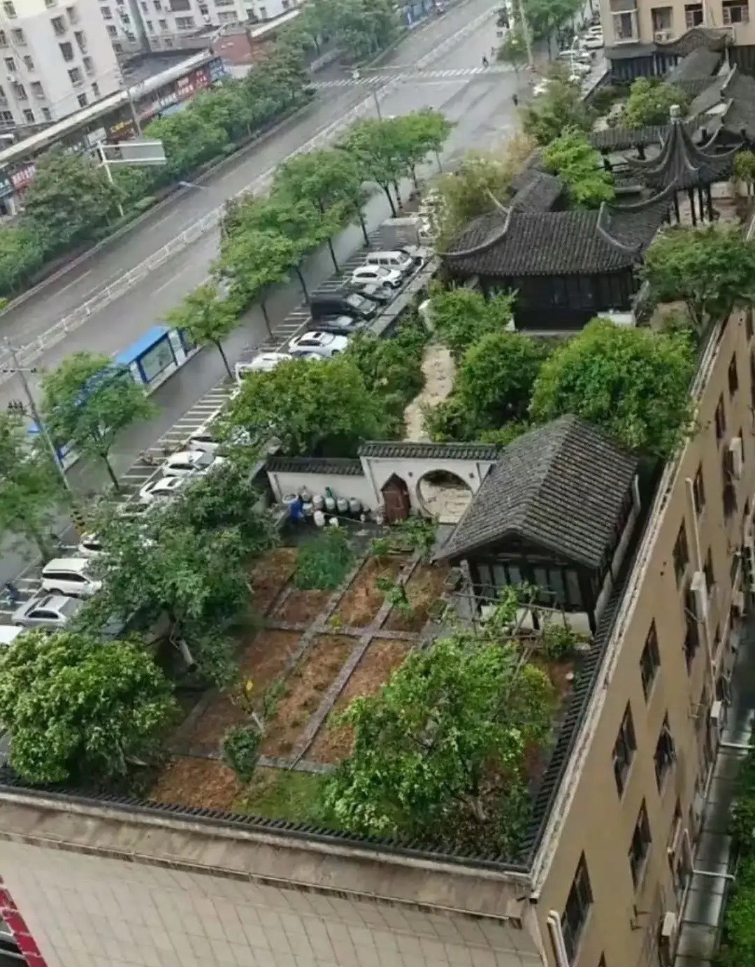 这种环境，多少钱都不卖啊，太羡慕了