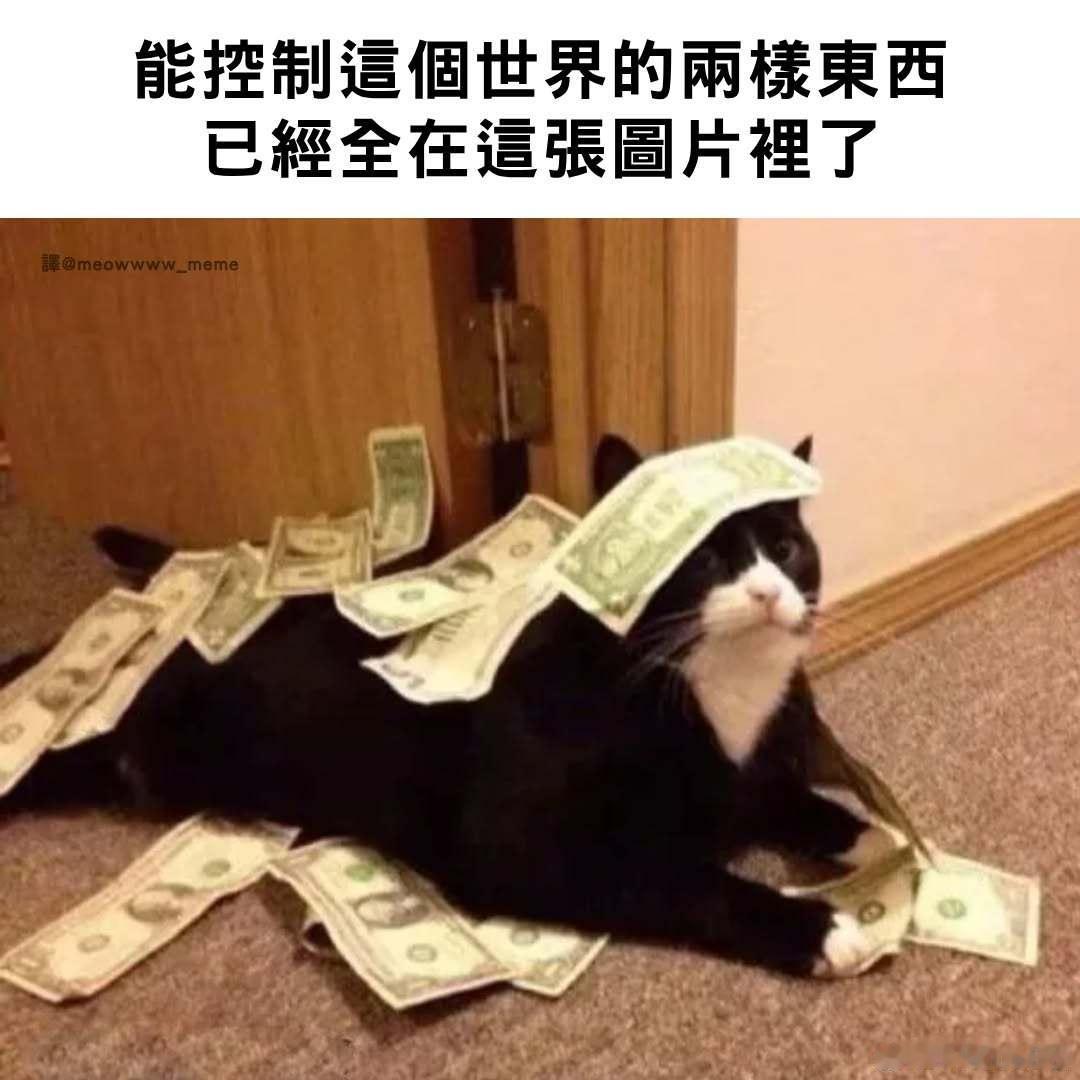 这个世界真的很简单