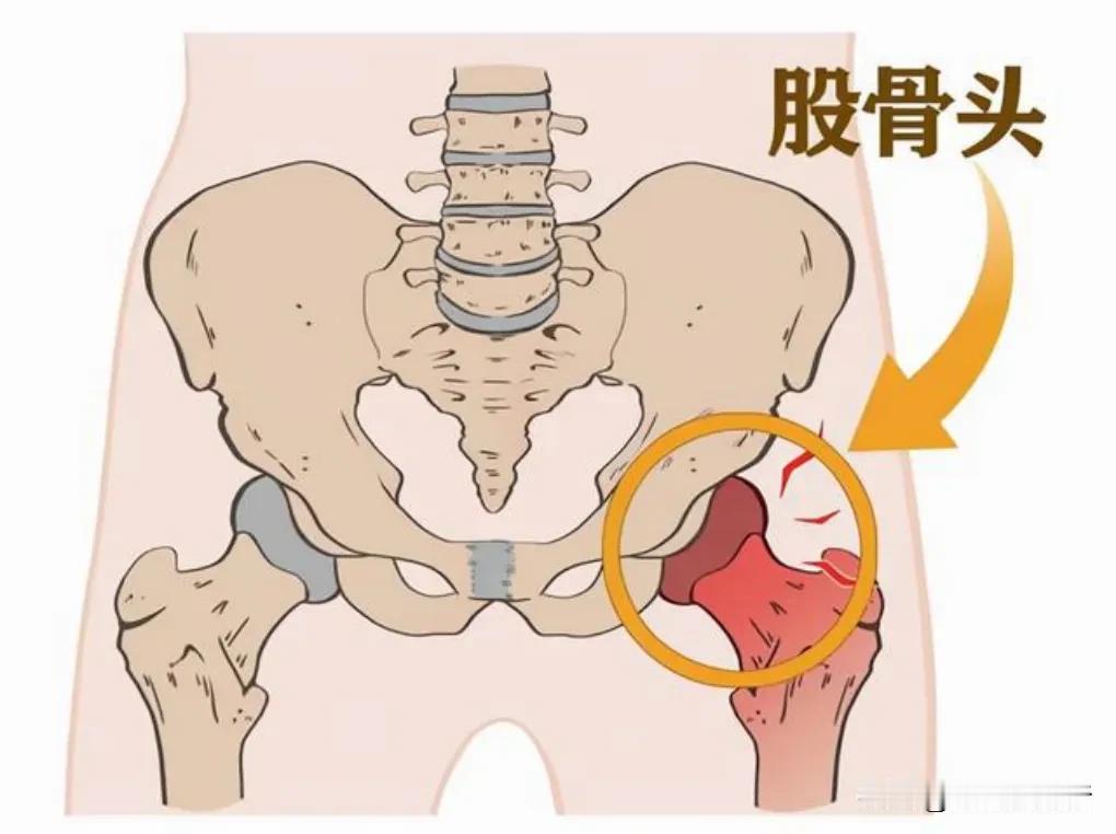 本文与每一位网友都有关系，请大家不要划走不看。思量了许久，我还是决定曝光我的隐私