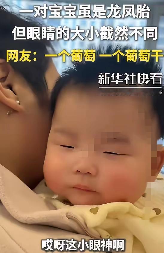 科学也没法解释了，这对双胞胎因为眼睛而火上人民日报了！刷到他们的视频，谁不得停下