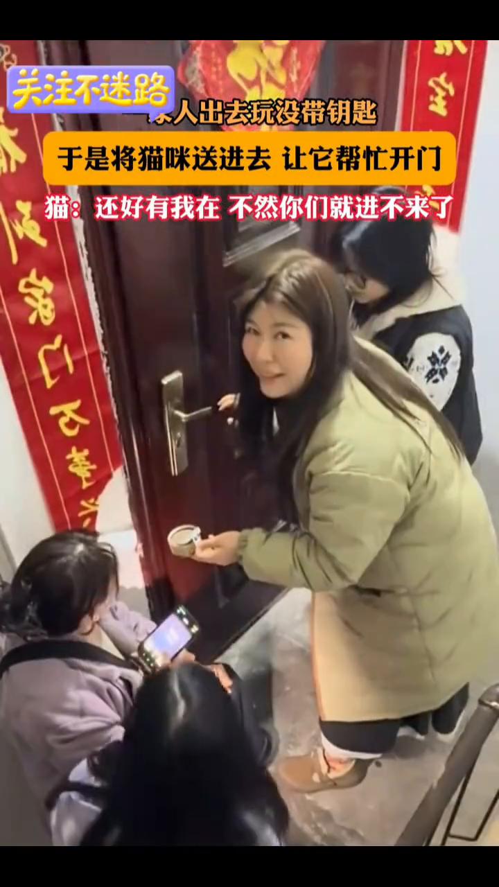 人出去玩没带钥匙，于是将猫咪送进去让它帮忙开门。猫：还好有我在，不然你们就进不来