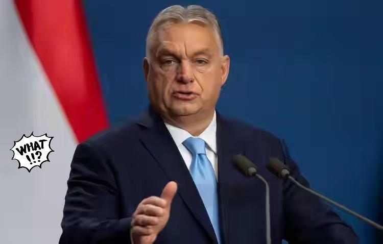 胸牙利总理欧尔班表示了！参考消息网2月8日报道，匈牙利总理欧尔班·维克托表示