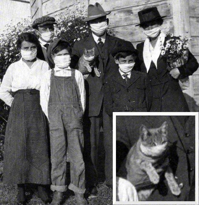 国外流感期间的全家照，防护意识很强，猫咪也戴了口罩